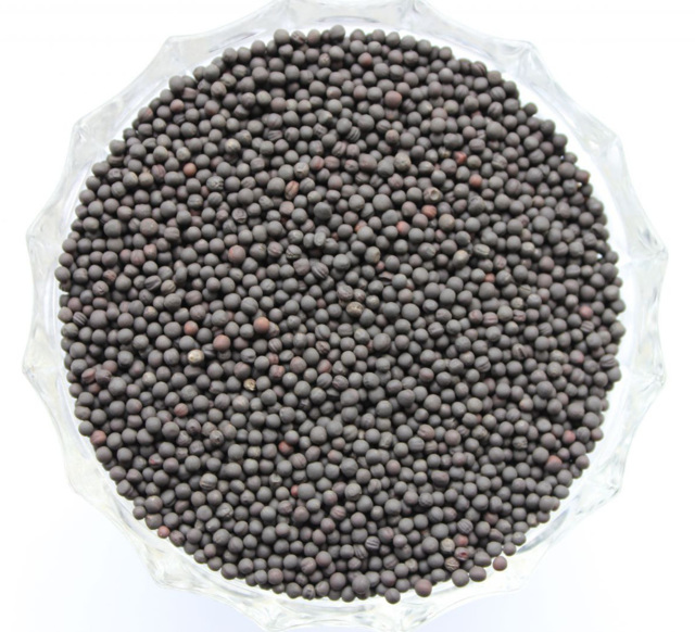 Рапс №149981