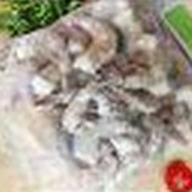 Креветки королевские 16 20 1 кг