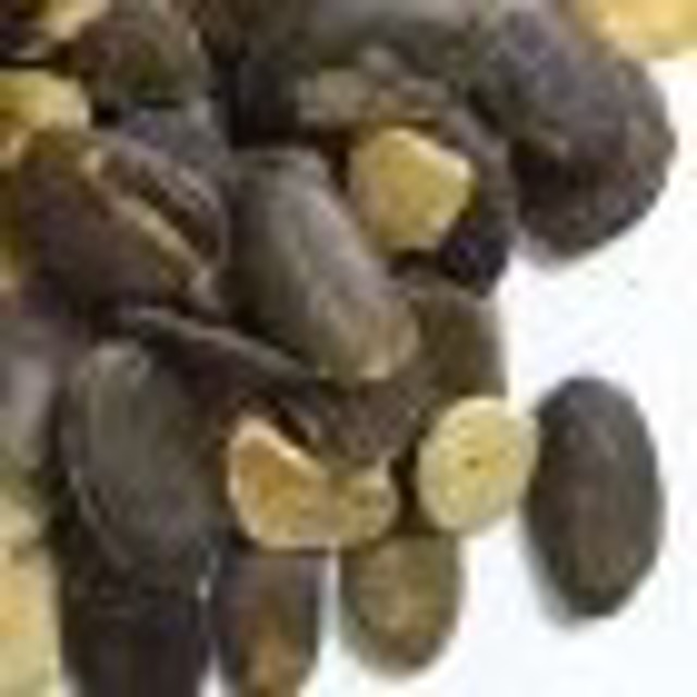 Семена тыквы голосемянной