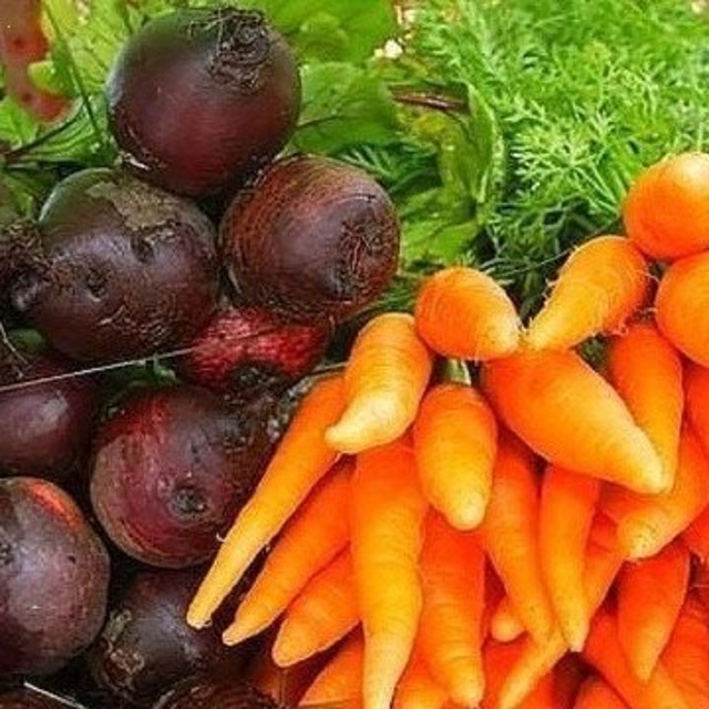 Свекла, морковь концентрированный сок