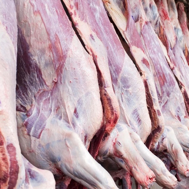 Оптово-розничная торговля мясом говядины