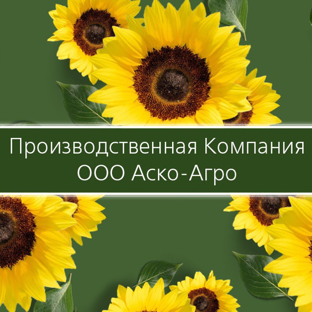 Масло подсолнечное, сыродавленное холодного отжима