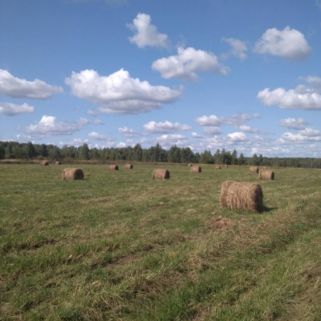 Сено, Тульская обл.