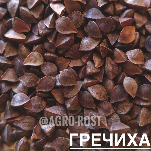 Гречиха №255477