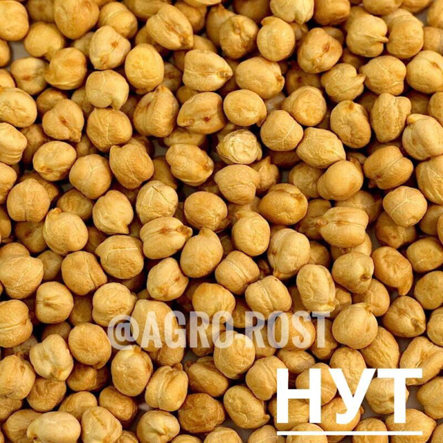 Нут №255539
