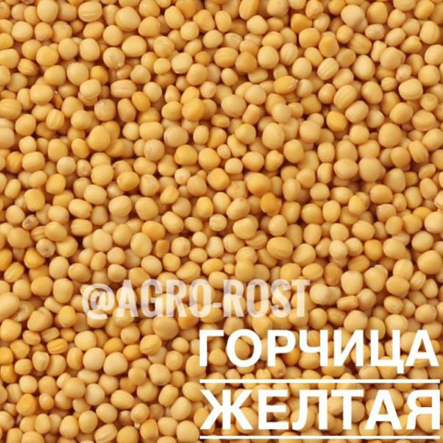 Горчица белая/желтая