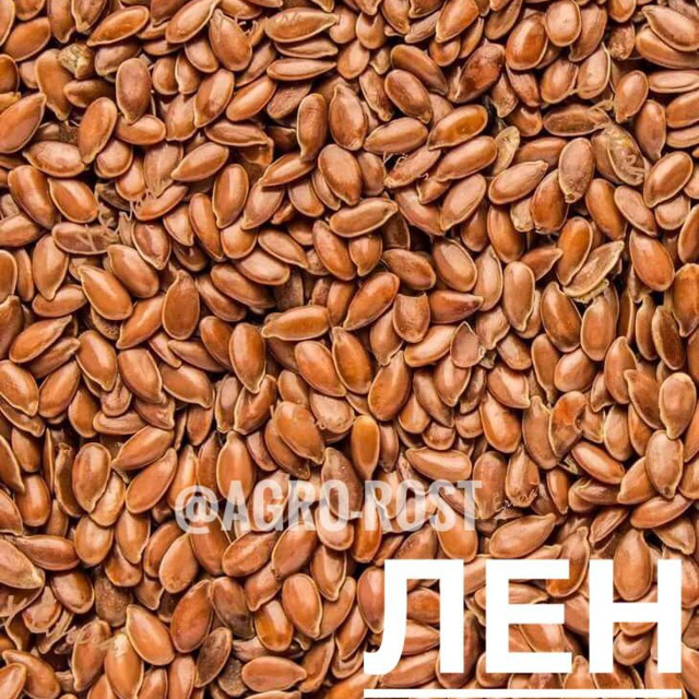 Лен №255713