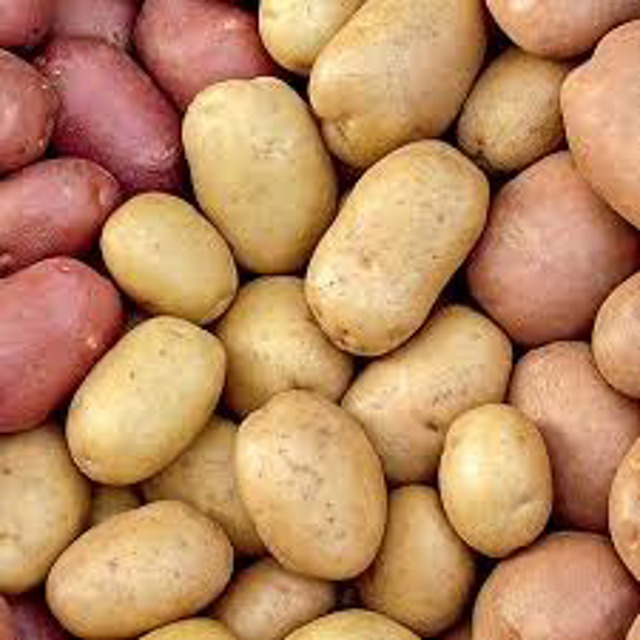 Семенной картофель урожая 2020 г