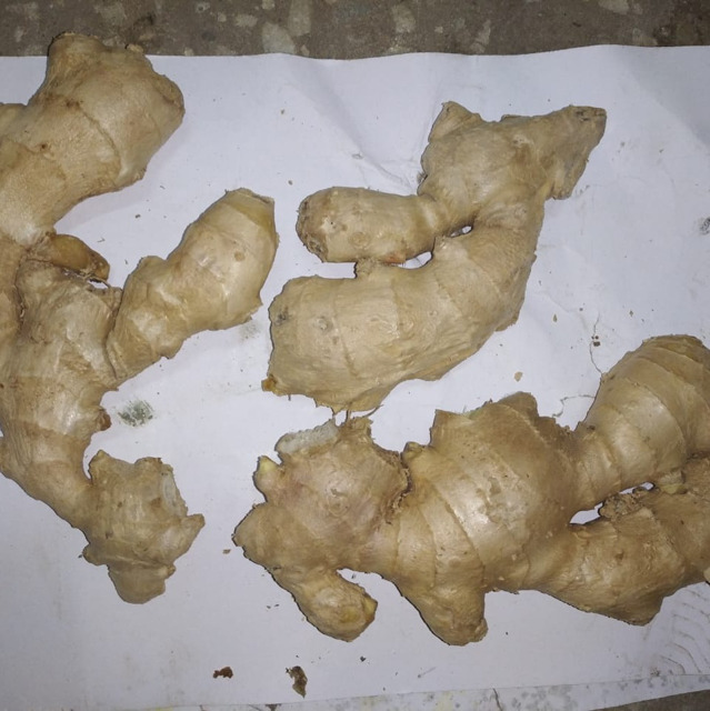 корень имбиря очищенный резанный