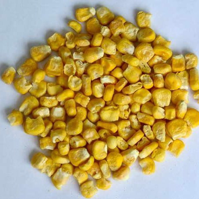 Семена Кормовой Кукурузы Купить