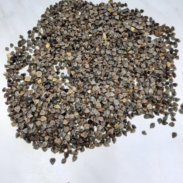 Сырьё гречихи 10000 тонн