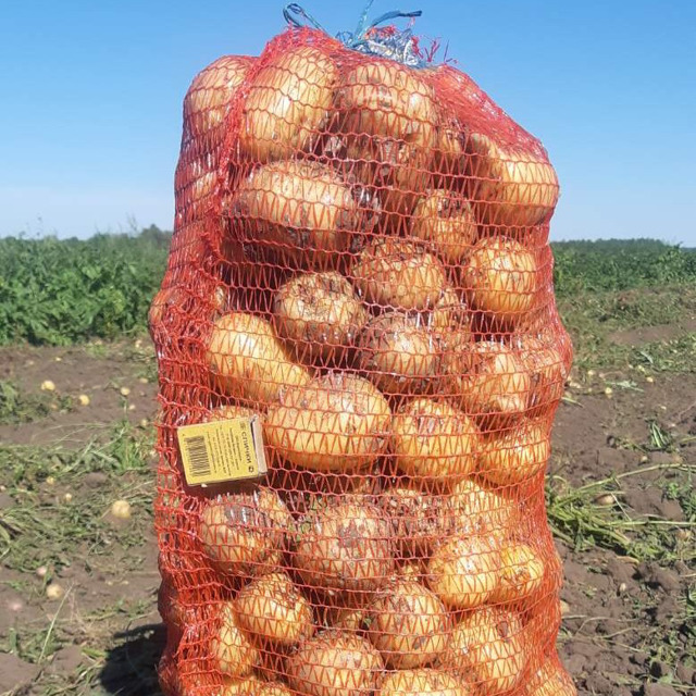 Картофель сорт Гала - 10р.