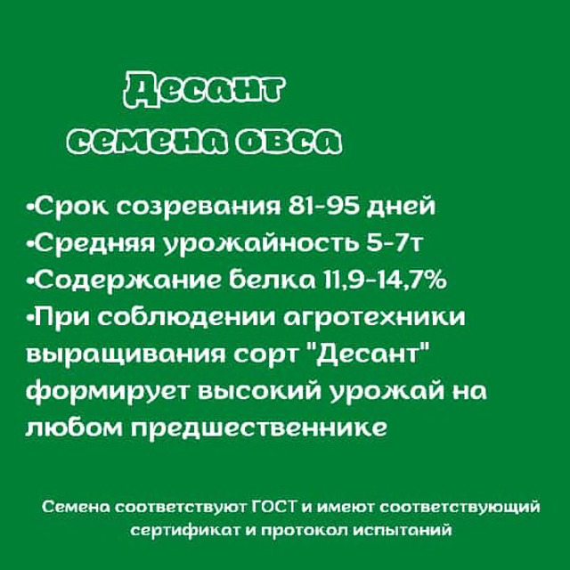 Семена овса "Десант"