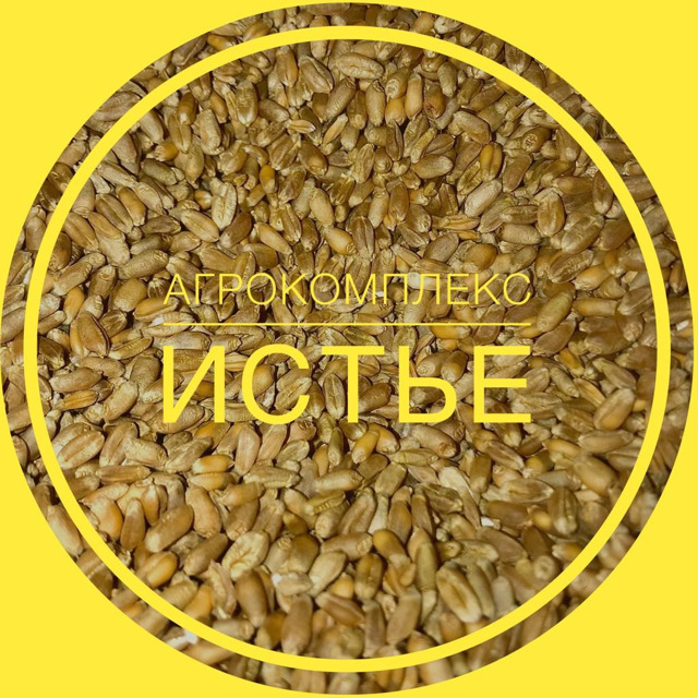 Пшеница Продовольственная